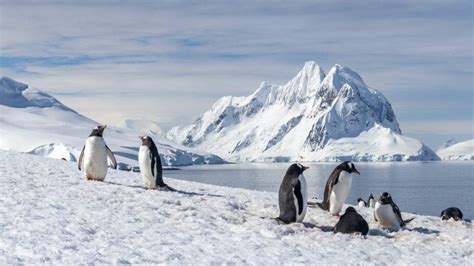 antarctica cities|Places to Visit in Antarctica: Beautiful Islands & Best .